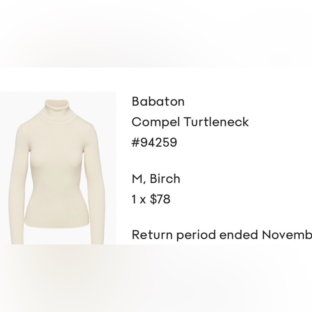 Aritzia Babaton Compel Turtleneck